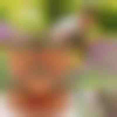 Vertikal stapelbare Pflanzgefäße | PLANTUP